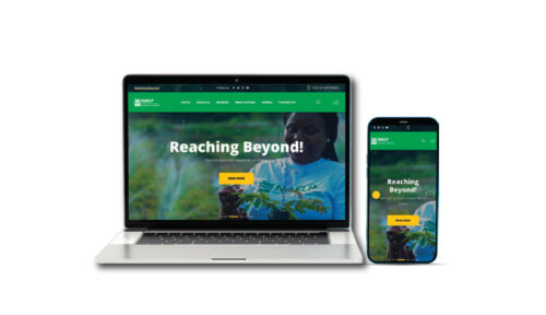 NAELP WEB Project